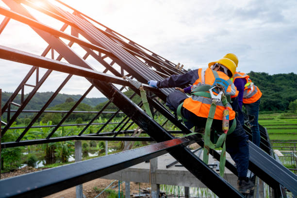 Best Roof Gutter Cleaning  in Home Gardens, CA