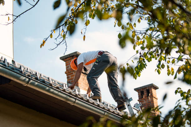 Best Roof Repair Services  in Home Gardens, CA