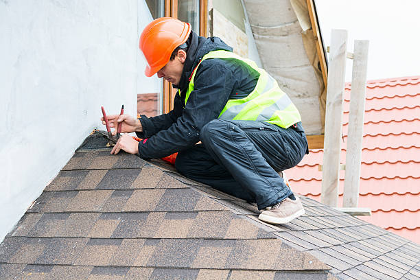 Best Local Roofing Companies  in Home Gardens, CA