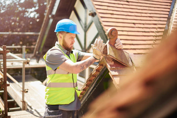 Roof Gutter Cleaning in Home Gardens, CA