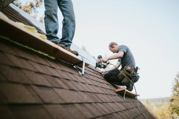 Best Roof Gutter Cleaning  in Home Gardens, CA
